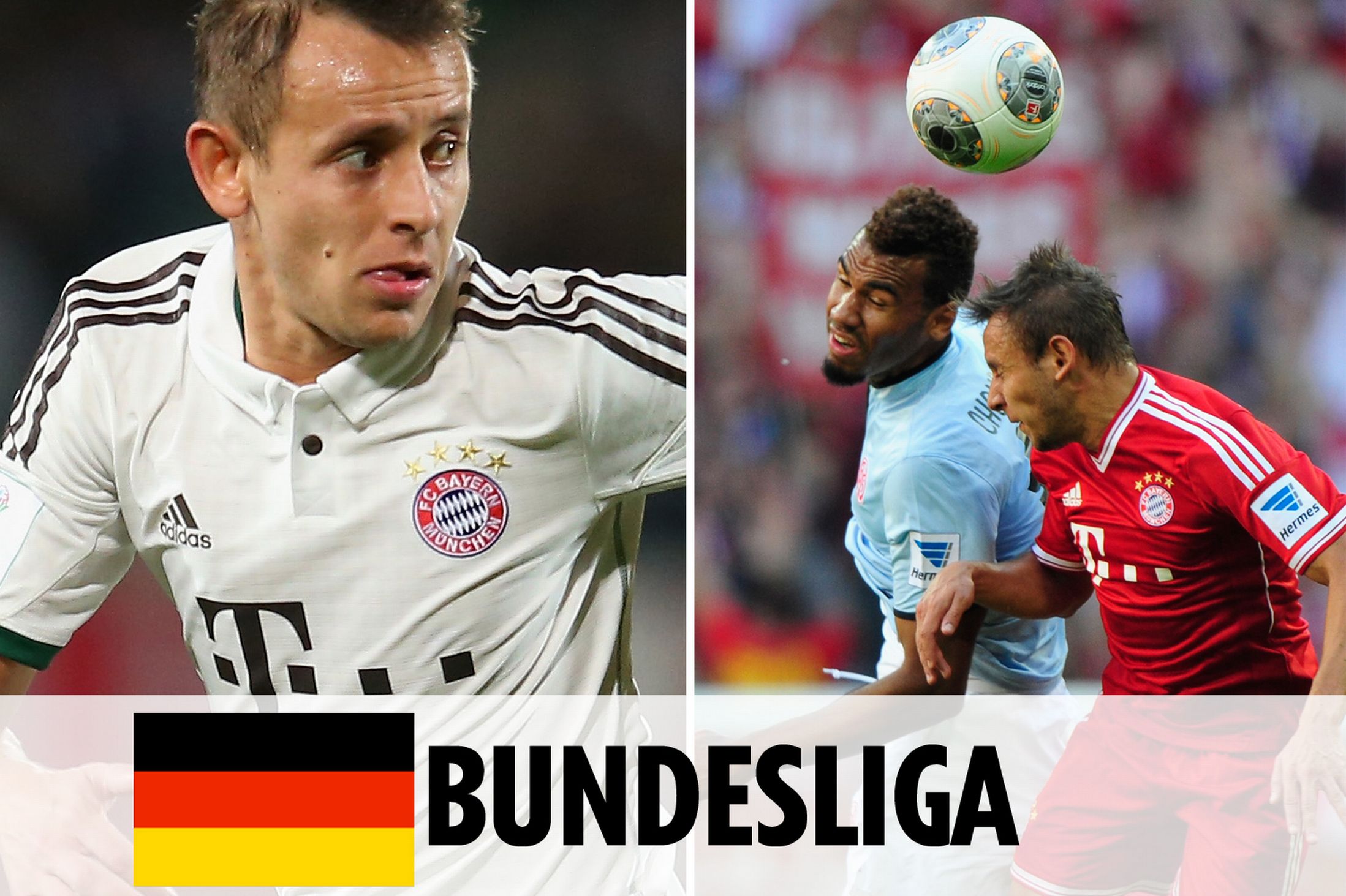 实用新型专利证书